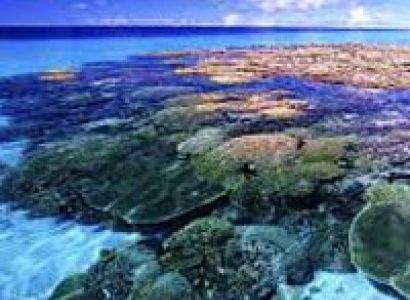 Historical Adventure Tour