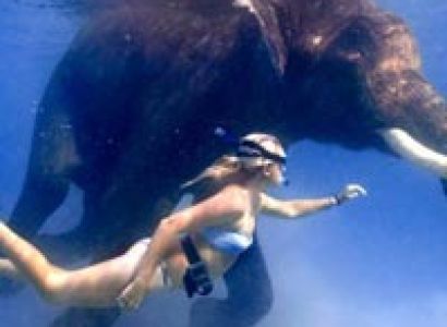 PACKAGE – 6 (4 NIGHTS & 5 DAYS)-Couple