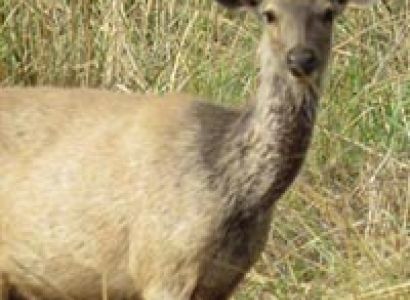 Group Package From Chennai to Andamans 2N- 3D