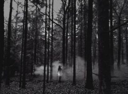 Germany Tour Package