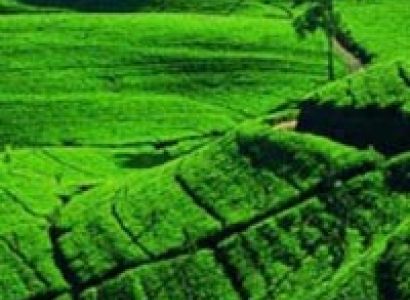 Ancient And Hill Tour 4 Nights / 05 Days Tour