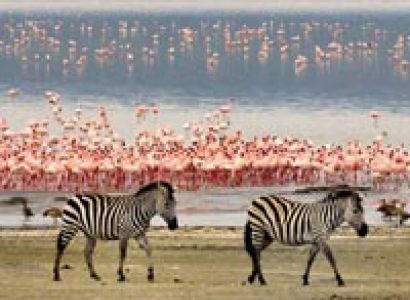 7days Tanzania Wildlife Safari tour, Tarangire to Lake Manyara