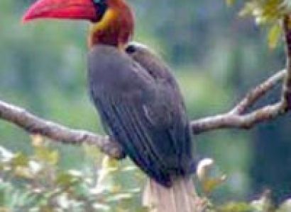 Ooty - Bangalore - Mysore Tour