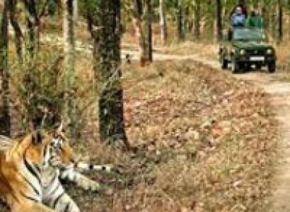 Taj Mahal with Bandhavgarh Tour