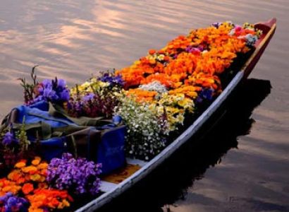 Splendor of Kashmir Tour