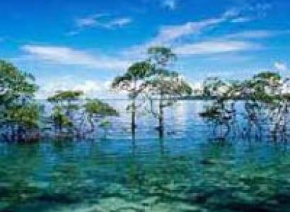 Andaman Package for 3 Nights and 4 Days Tour