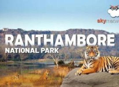 Ranthambore Wildlife Tour
