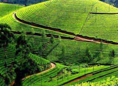Beautiful Karnataka with Tamilnadu 7n/8d) Tour