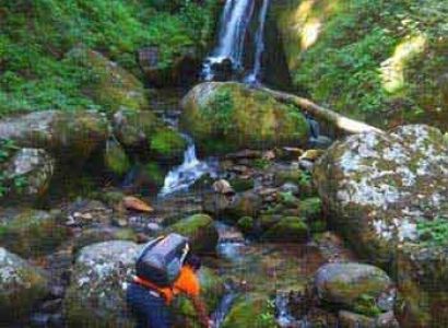 Shimla - Jalori Pass - Manali Trek