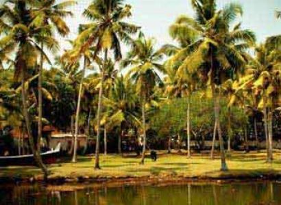 Cultural Tour of South India