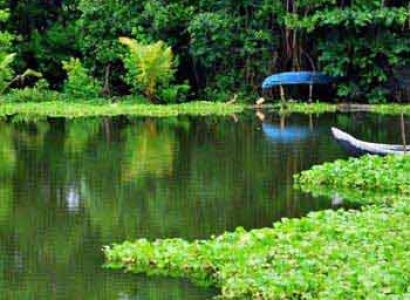 Backwaters of Kerala Tour