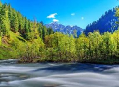 Kashmir Honeymoon Tour Package