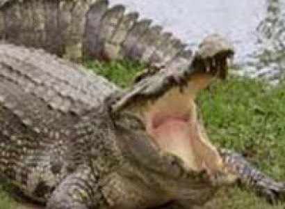 Exotic Tour of Odisha Tour