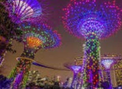 6 night 7 days singapore with cruise Tour