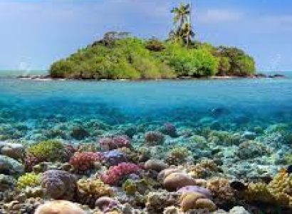 Pattaya - Bangkok Tour