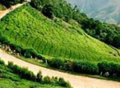 Best Of South India  (Beaches,Pilgrimage,Himalayas ) Tour