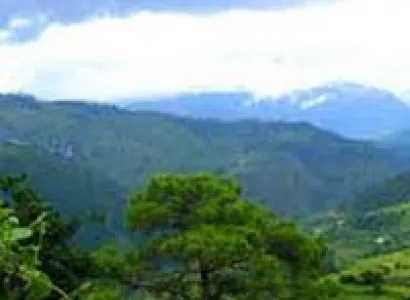 Uttaranchal Tour 06 NightS/ 07 Days