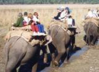 Corbett Holiday Tour