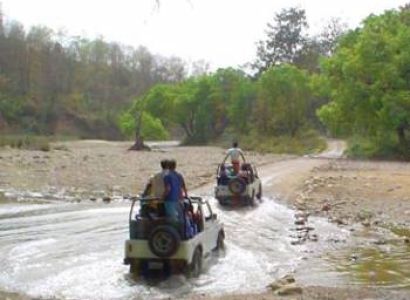 Corbett Safari Tour Package