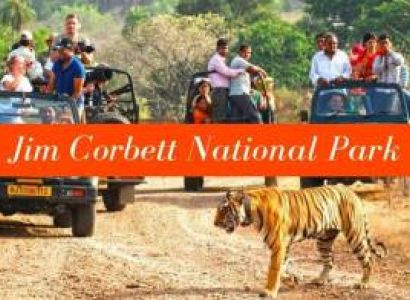 Corbett Vacation Tour Package