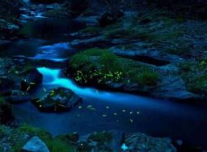 Amazing Australia Tour