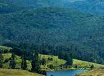 Coimbatore - Ooty - Kodaikanal Tour