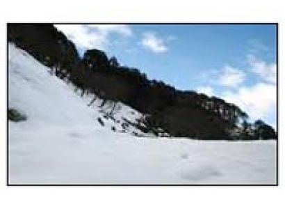 Cheap Manali Package