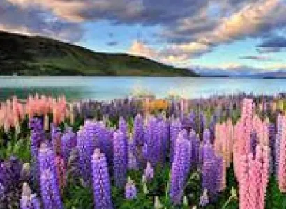 New Zealand South Island Tour