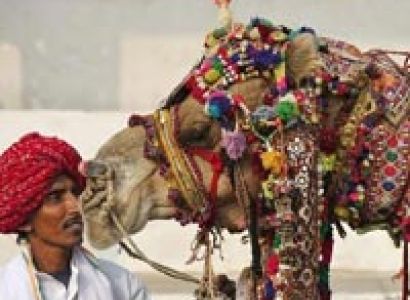 Rajasthan Historical Palaces Tour