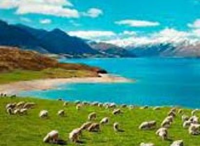Self Drive - Seven Colors Of New Zealand Tour