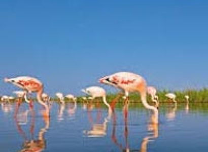 Kutch Rann Utsav- Festival Tour of Gujarat