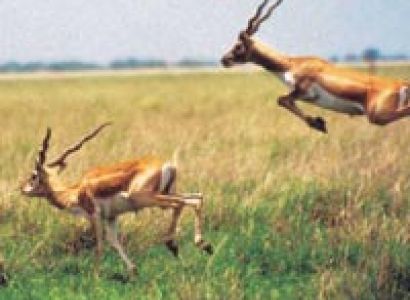 Gujarat Classical Tour