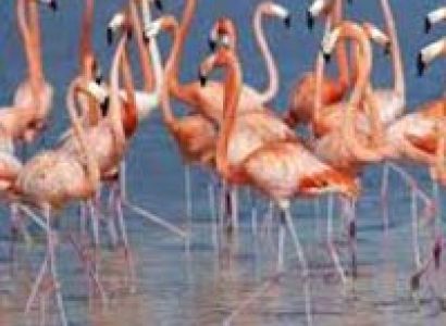 Gujarat Textiles And Handicrafts Tour