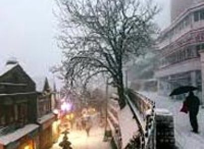 Magnificent Shimla Manali Tour