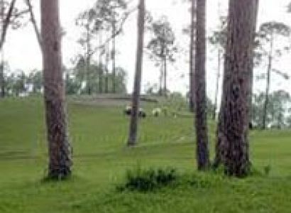 Charm of Ranikhet Tour