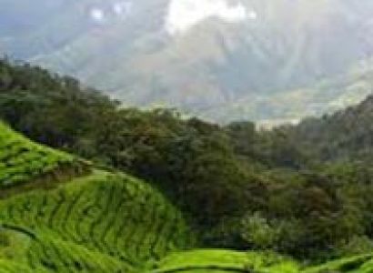 Nainital with Ranikhet Tour