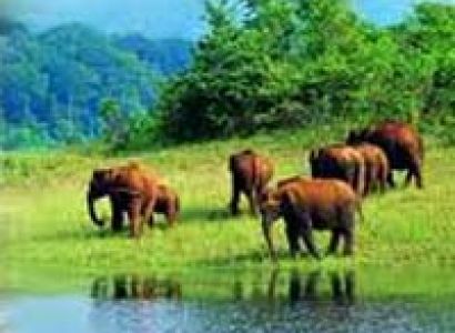 Kerala Kanyakumari Tour