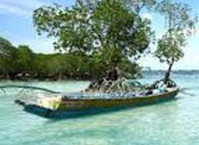 Andaman Havlock Baratang Tour