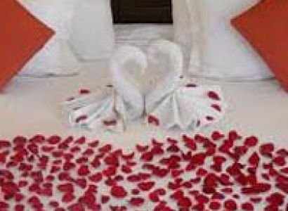 Honeymoon Packages Bangalore, Ooty, Mysore
