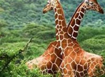 Short Escape to Pench Tour