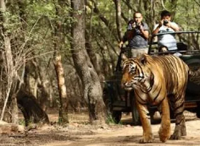 Kanha Tour