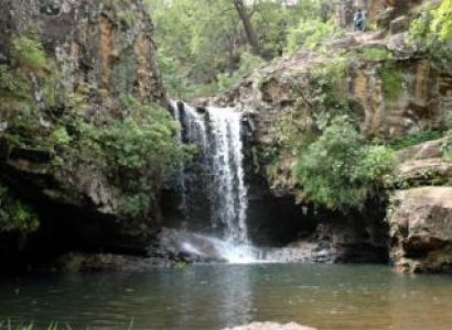 Kanha Pachmarhi Tour