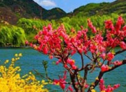 Delhi Manali Volvo Tour