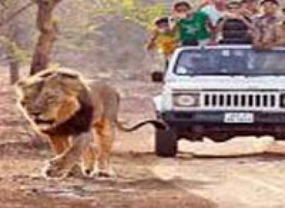 Treasure of North Gujarat - 5 Days Tour