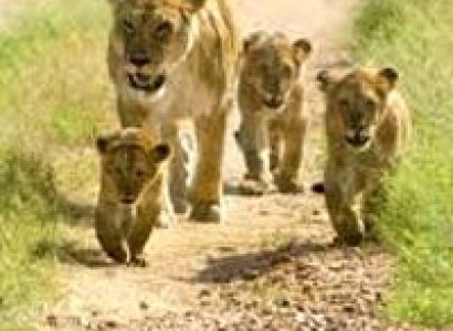 Glorious Gujarat - 15 Days Tour