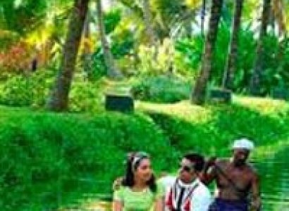 Kerala Honeymoon Package 5N/6D