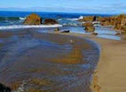 New Zealand North Island Tour