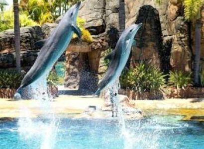 Discovering Australia for 8 Days Tour