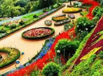 Bangalore, Mysore, Coorg , Wayanad(6 nights/7 days) Tour