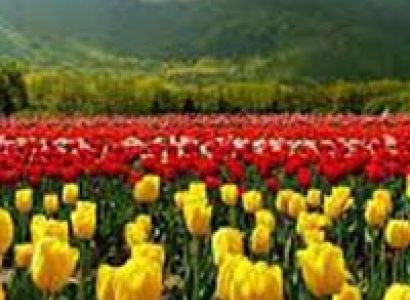 4 Days Trip to Kashmir